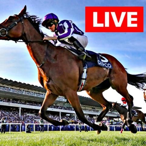 Watch horse 2024 racing live free