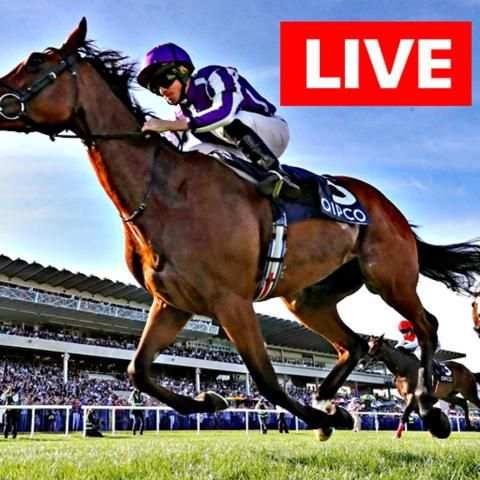 Watch Horse Racing Live Streaming FREE screenshot 1
