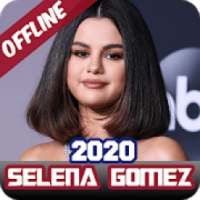 Selena Gomez Offline Music (All Songs) 2020