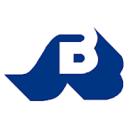 Sindicato Banamex أيقونة