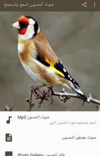 صوت الحسون اسمع واستمتع
‎ screenshot 3
