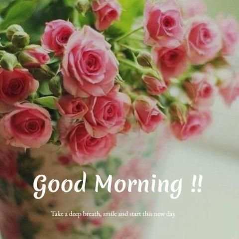 Good Morning Images APP - GOOD Morning Flowers स्क्रीनशॉट 5