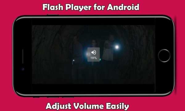 Flash Player 2020 screenshot 3