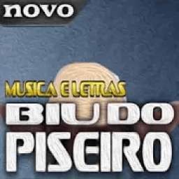 Musica Biu Do Piseiro 1.0