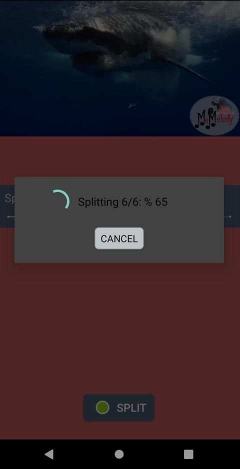Video Splitter स्क्रीनशॉट 3