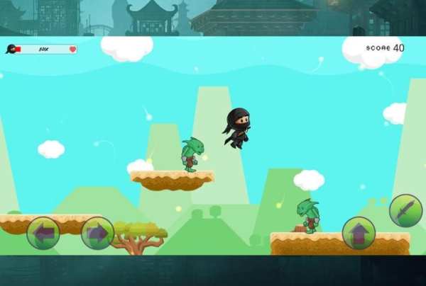 Ninja Warrior screenshot 4