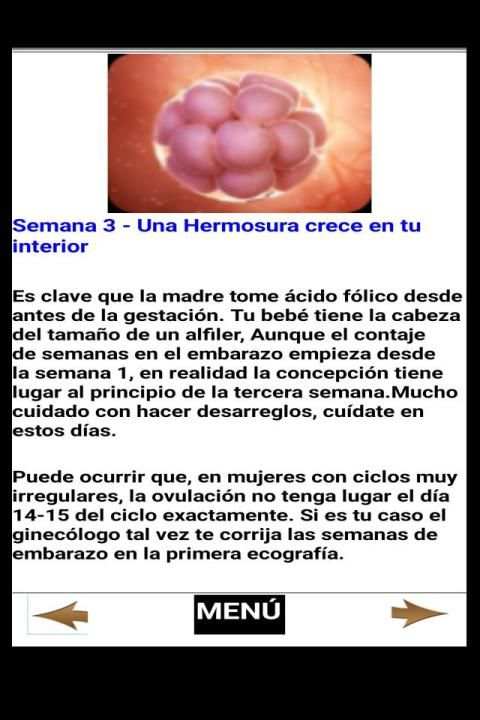 Embarazo - Semana por Semana screenshot 2