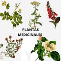 Plantas medicinales naturales - Remedios Naturales on 9Apps