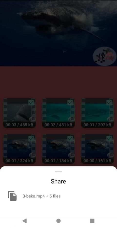Video Splitter स्क्रीनशॉट 1
