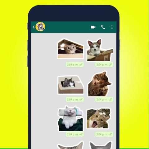 Mejor Stickers de Gato para WAStickerApps 2020 screenshot 3