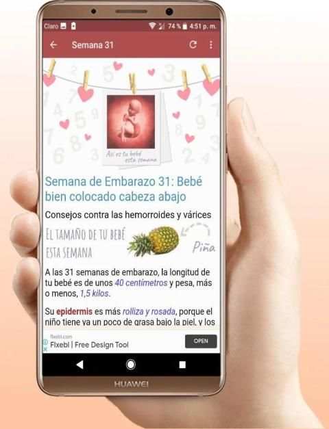 Embarazo Semana a Semana स्क्रीनशॉट 2