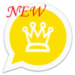 wtnbn 9.8