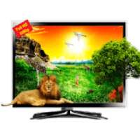 New Movies TV Hub 2020