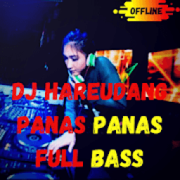 DJ Hareudang Panas Remix Offline icon