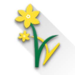 Daffodils World School - Students App