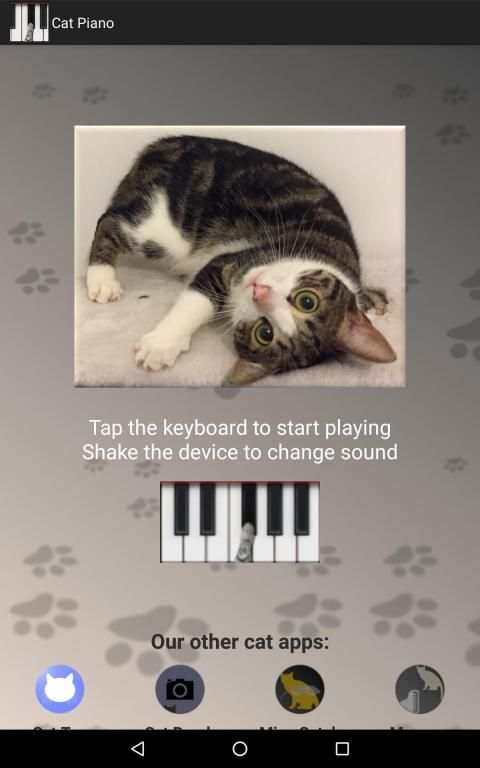 Cat Piano screenshot 2