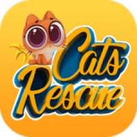 Cats Rescue