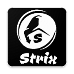 ikon Strix Development