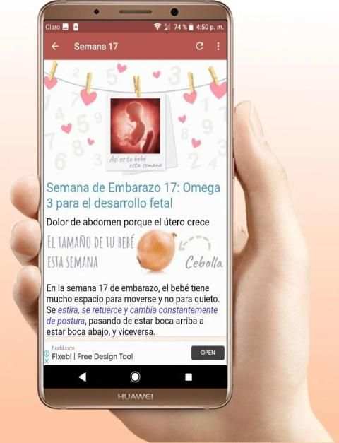 Embarazo Semana a Semana स्क्रीनशॉट 4