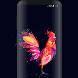 4k HD Wallpapers - HD Wallpapers आइकन