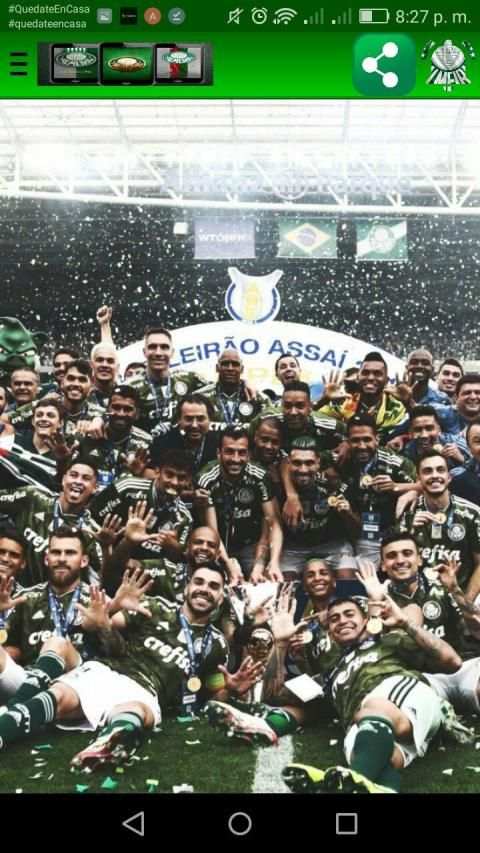Palmeiras Wallpapers screenshot 3
