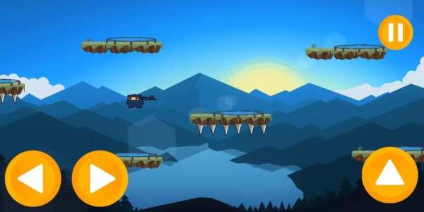 Ninja screenshot 1