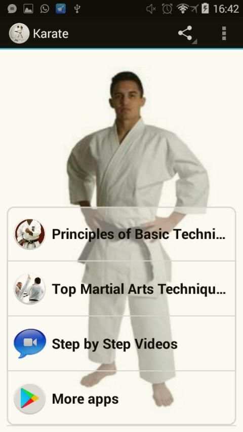 Karate Basics screenshot 2