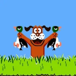 Duck Shooting आइकन