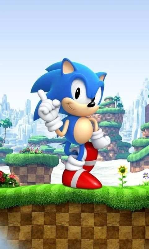 HD Hedgehog Wallpaper 2020 screenshot 4