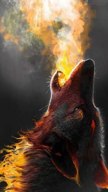 Lone Wolf Wallpaper lock screen: Wolves Wallpapers स्क्रीनशॉट 1