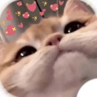 * Uwu Stickers : uwu Love y Anime WastickerApps on 9Apps