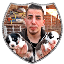 dogs training K_M icon