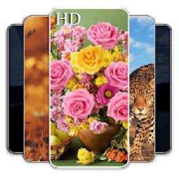 خلفيات الشاشة : خلفيات روعة بدون انترنت
‎ आइकन