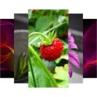 HDs Wallpaper 50k