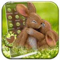 Rabbit Love Theme Launcher