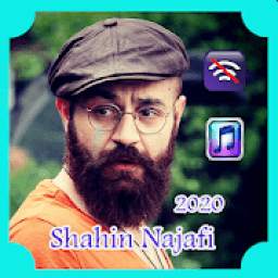 Shahin Najafi 1.0