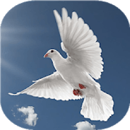 Musica cristiana gratis icon