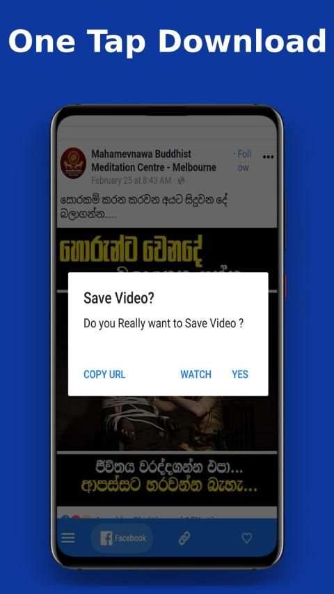 Facebook video downloader screenshot 4
