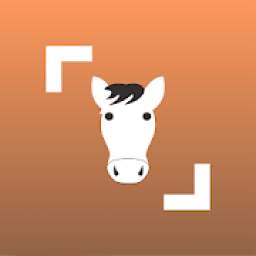 Horse Scanner - #1 Horse Breed Identification