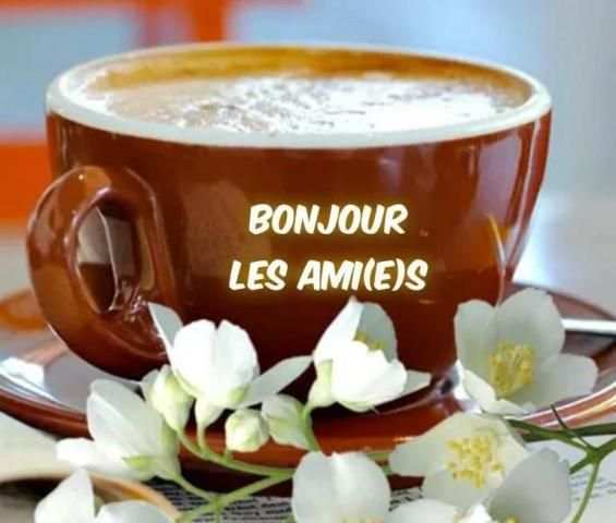 BONJOUR! screenshot 10