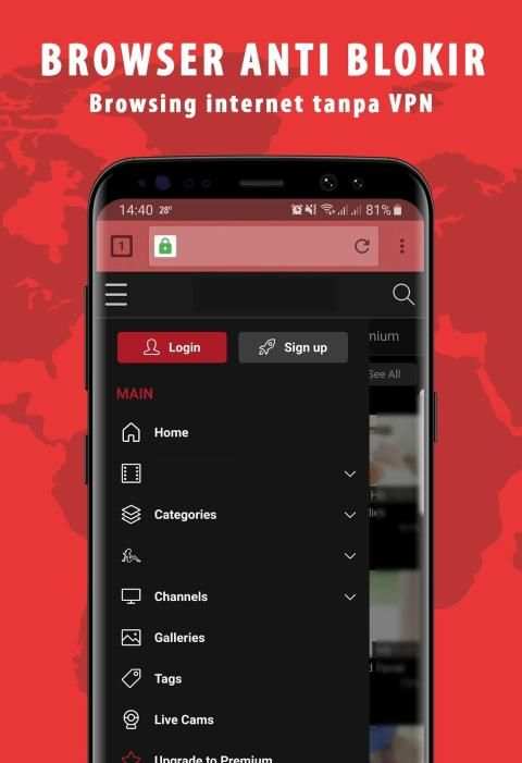 BF Browser Mini screenshot 2