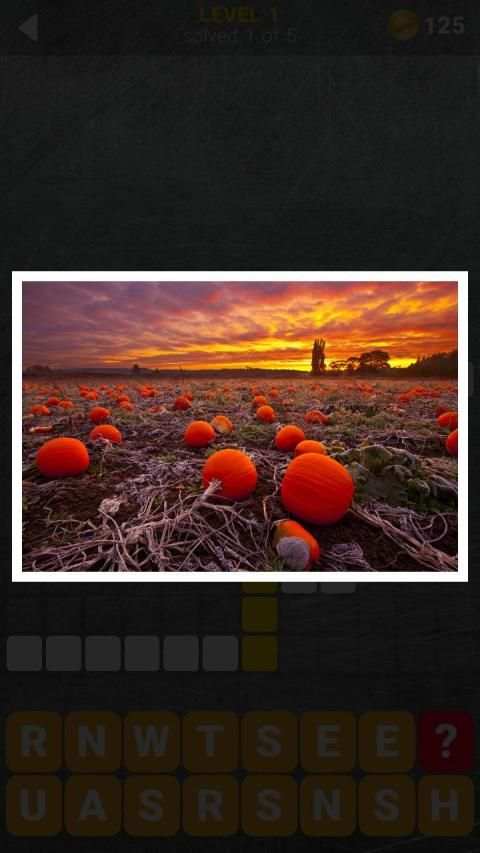 150 Photo Crosswords screenshot 2