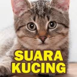 Suara Kucing 0.1