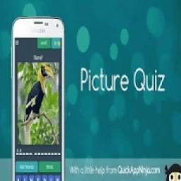 Picture Quiz