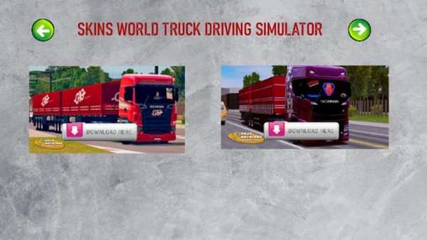 SKINS WORLD TRUCK DRIVING SIMULATOR - WTDS screenshot 5