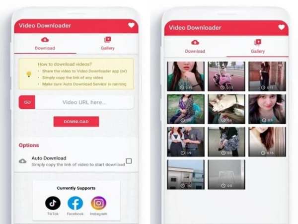 Social Video Downloader screenshot 2