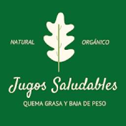 Jugos Saludables Gratis para Bajar de Peso