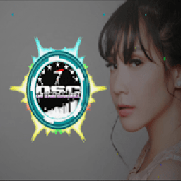 Lagu DJ Te Molla Full Offline icon