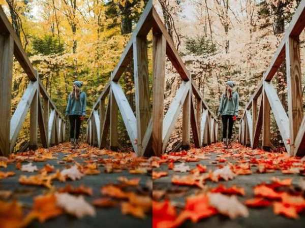 Free Mobile Lightroom Presets | lr Mobile Presets 4 تصوير الشاشة