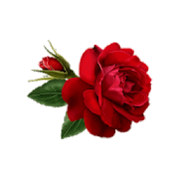 Flowers and Roses Live Wallpaper आइकन